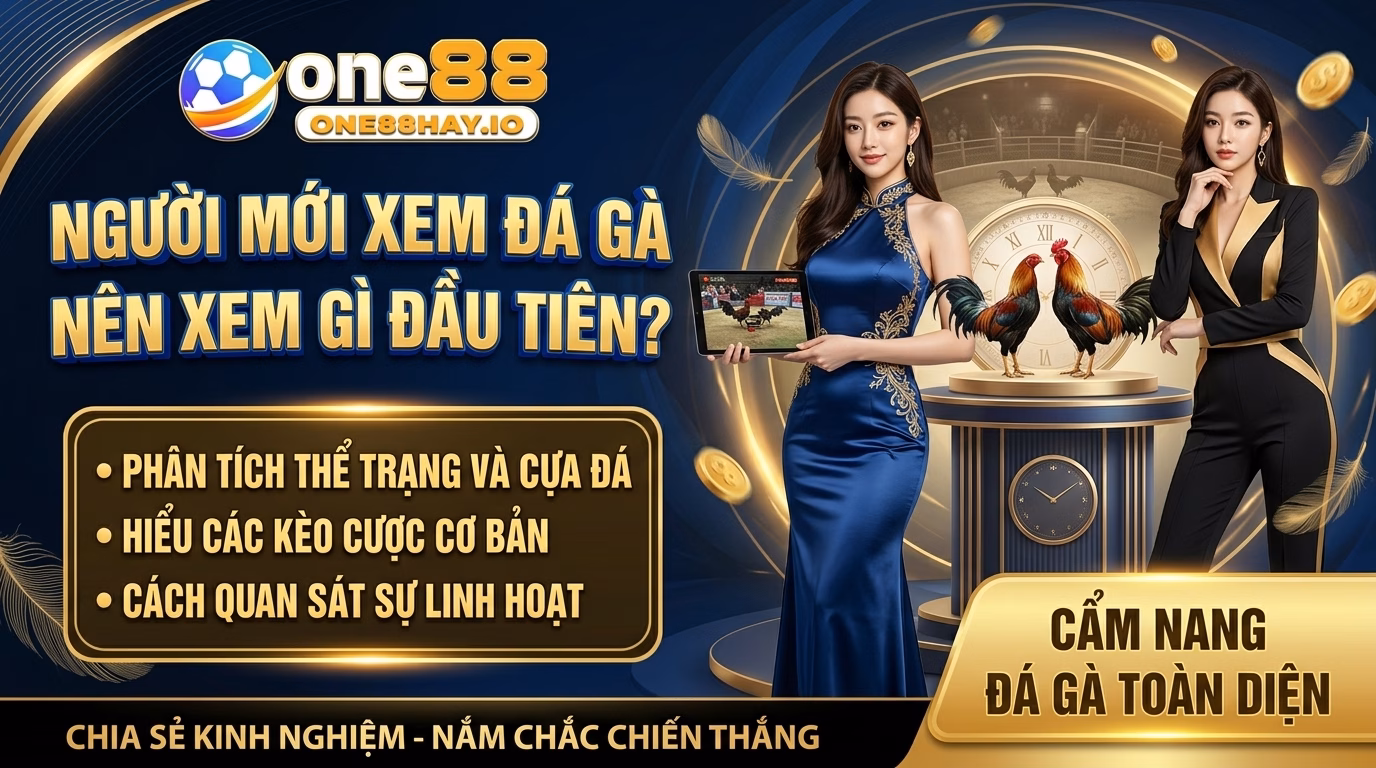 Người Mới Xem Đá Gà Cựa Dao Nên Nhìn Vào Đâu Trước?